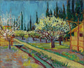 Orchard Bordered by Cypresses (1888)