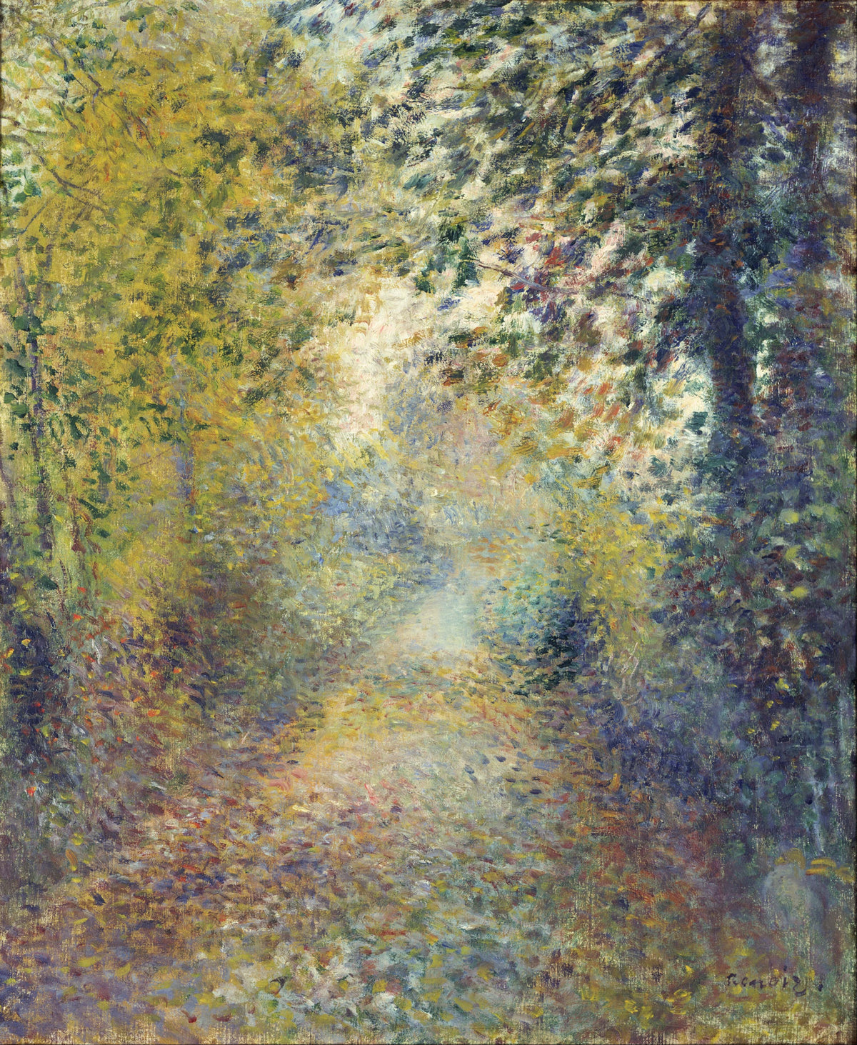 In the Woods