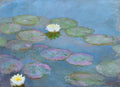 Nymphéas (circa 1897-1899)