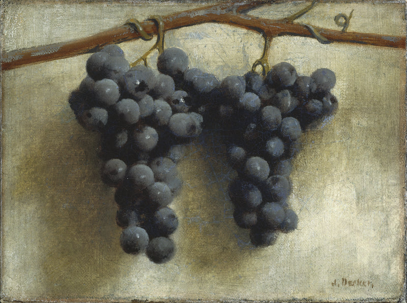 Grapes (c. 1890-1895)