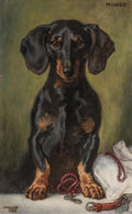 Alexander Pock Mungo