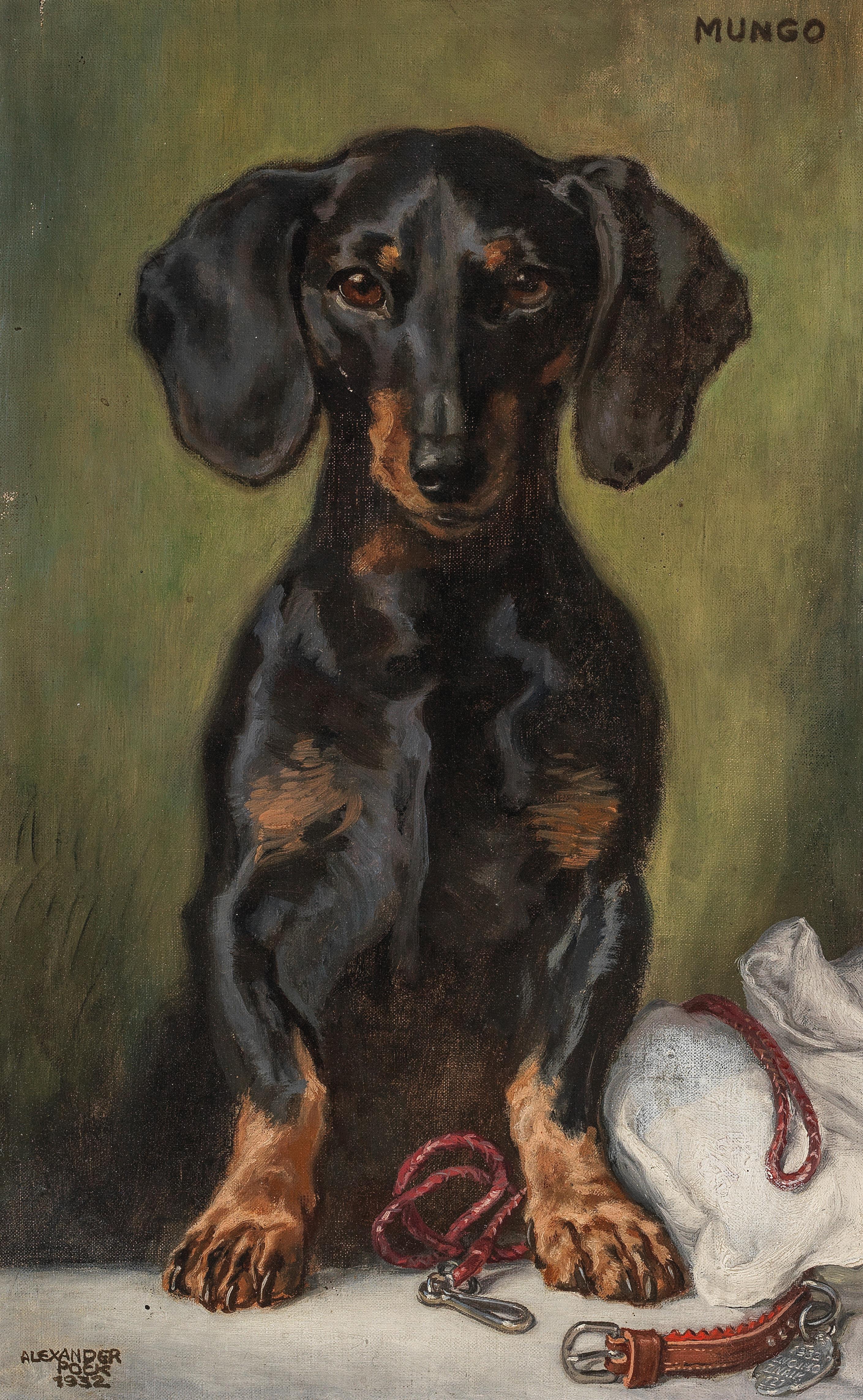 Alexander Pock Mungo