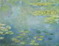 Water Lilies II