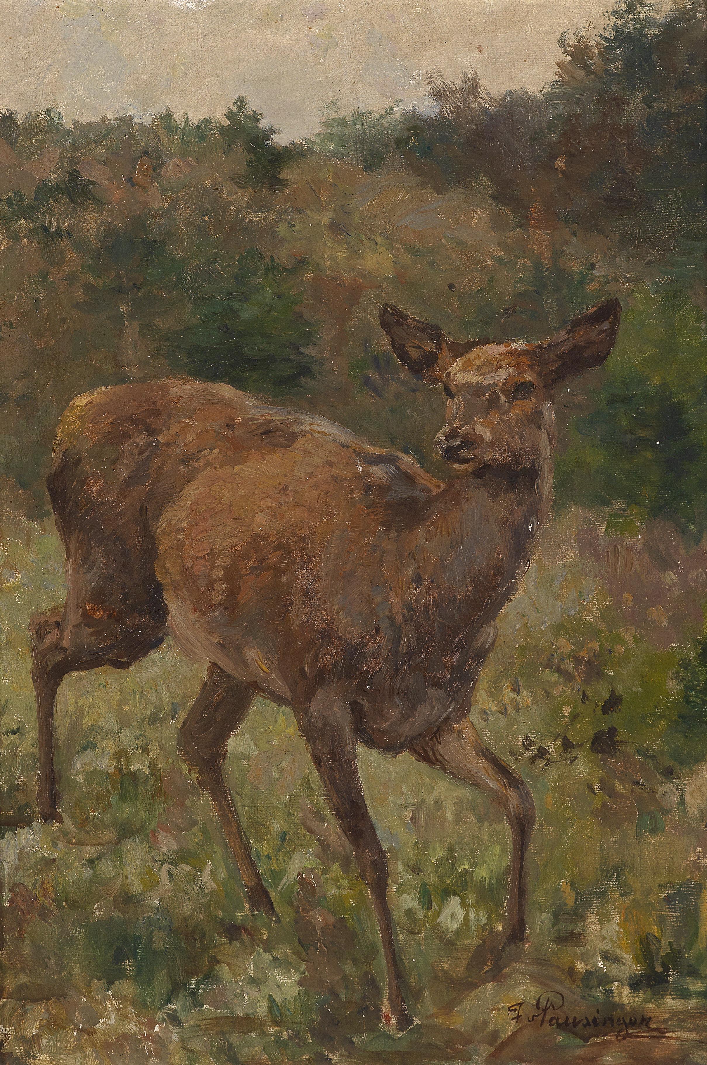 Red Deer (Rotwild)