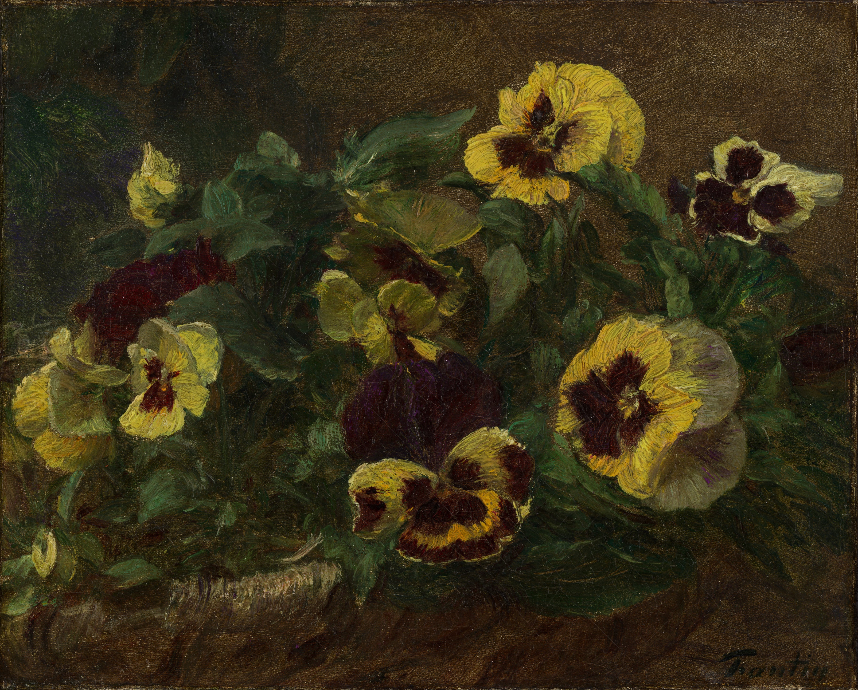 Pansies