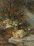 Hellebores