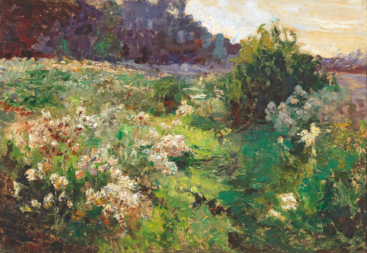 Florian Meadow