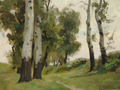 A Path Between the Birch Trees