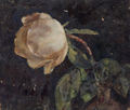Vase With Rose