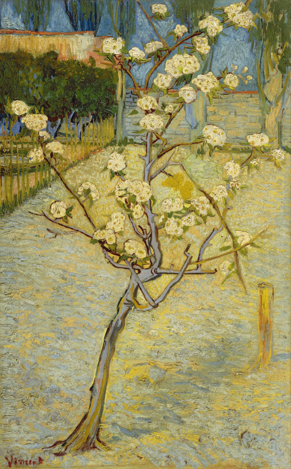 Small pear tree in blossom (1888)