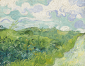 Green Wheat Fields, Auvers (1890)