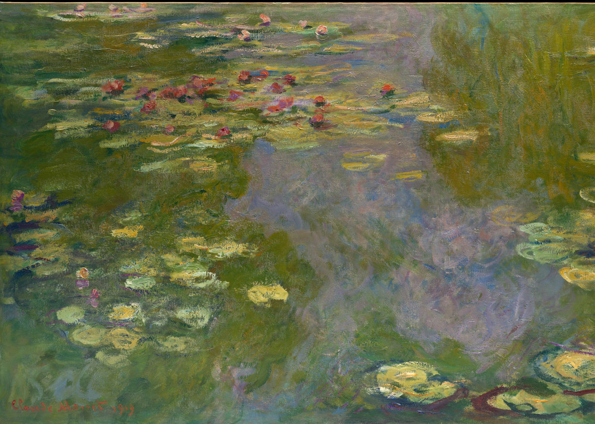 Water Lilies